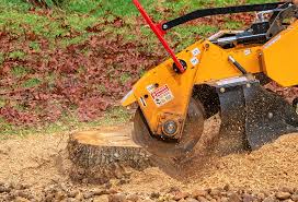 Seasonal Cleanup (Spring/Fall) in Menlo Park Terrace, NJ